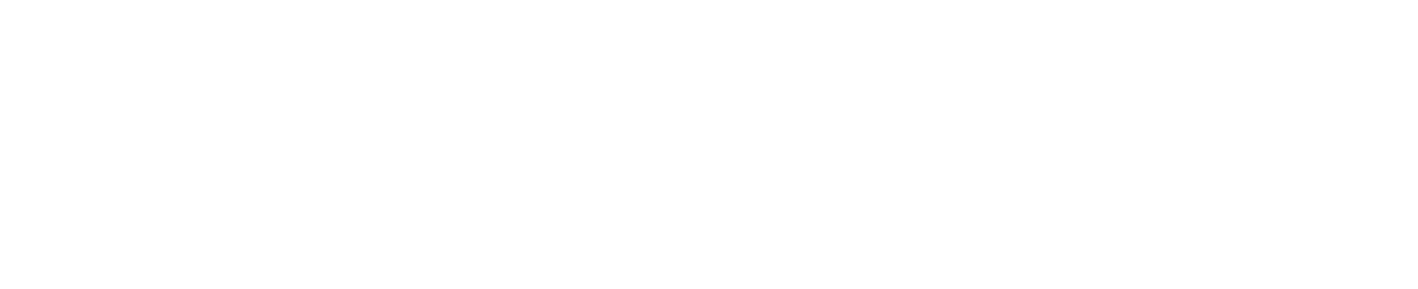 Baby Brezza logo